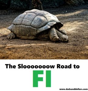 The Slow Road to FI