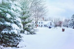 A lot of snow. A lot.